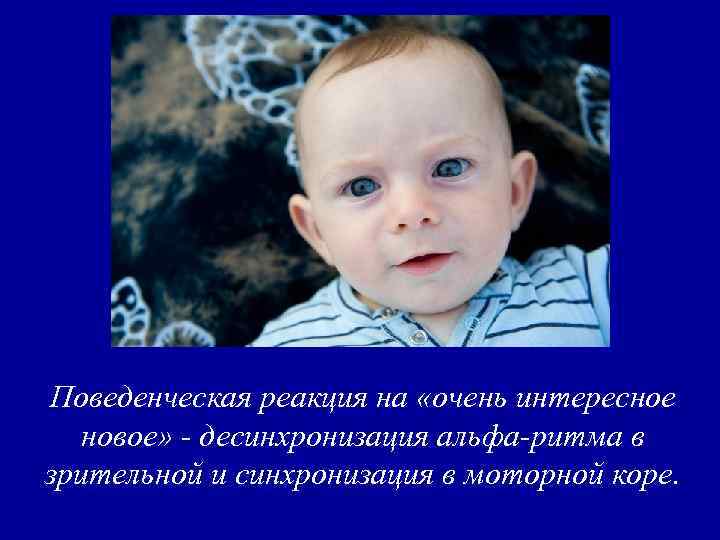 Поведенческая реакция на «очень интересное новое» - десинхронизация альфа-ритма в зрительной и синхронизация в