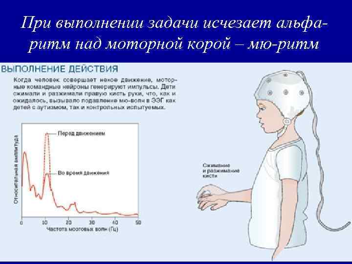 При выполнении задачи исчезает альфаритм над моторной корой – мю-ритм 