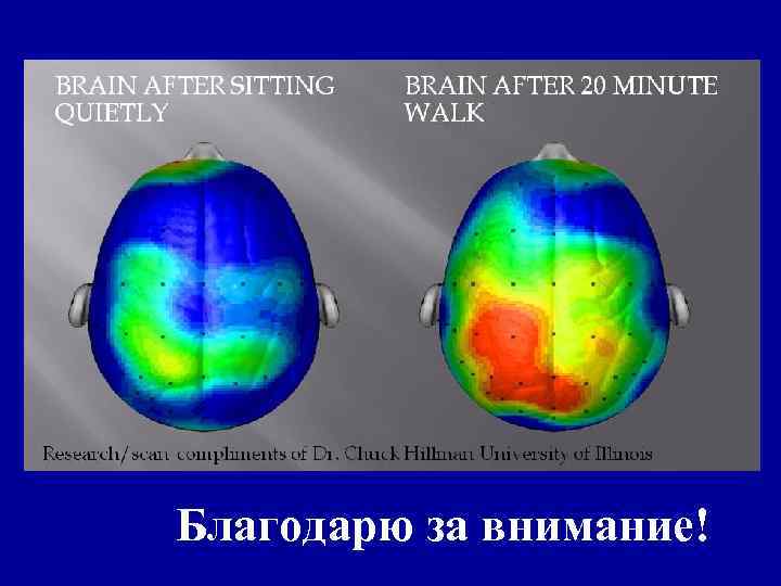 Благодарю за внимание! 