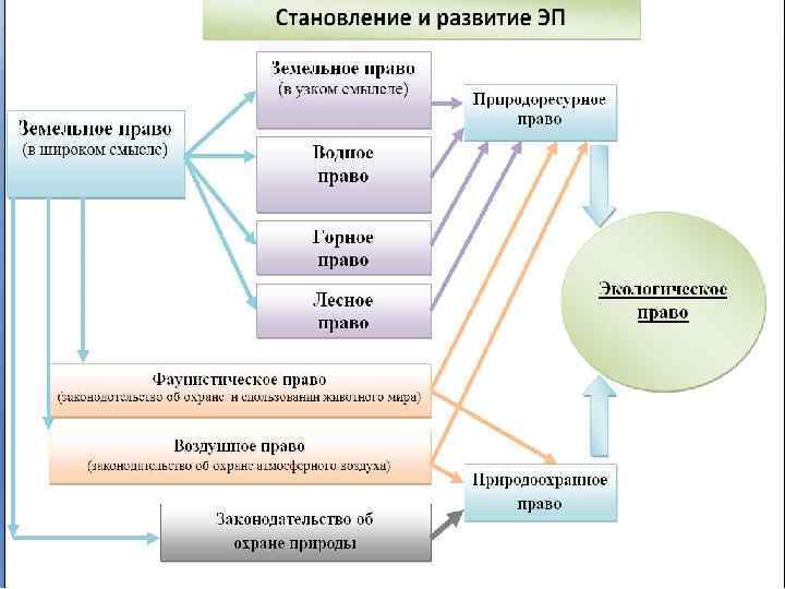 Развернутый план по теме экологическое право