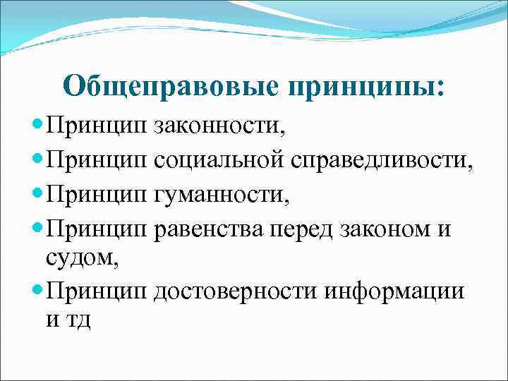 Общеправовые принципы: Принцип законности, Принцип социальной справедливости, Принцип гуманности, Принцип равенства перед законом и