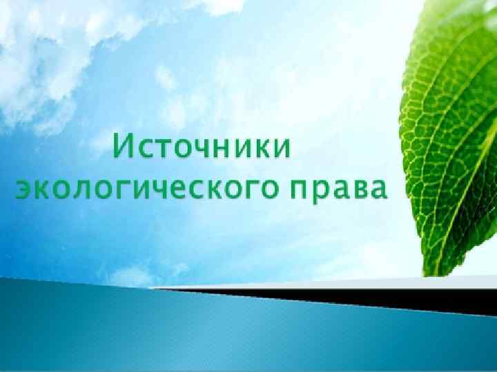 6. Источники ЭП. 