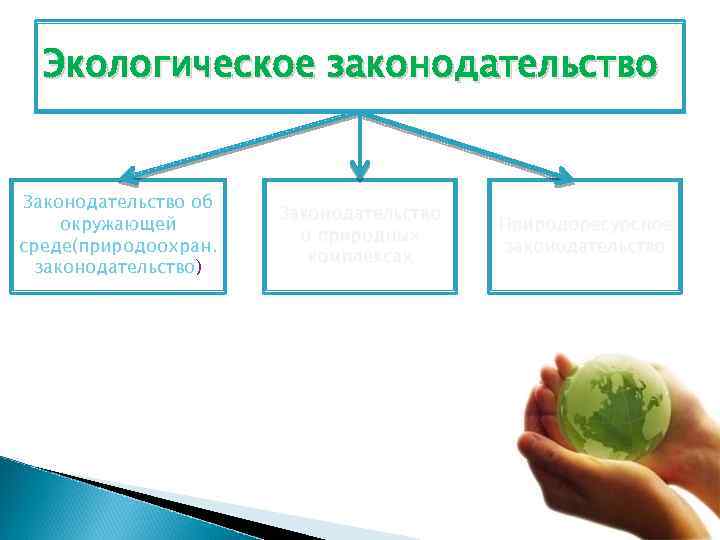 Экологическое законодательство Законодательство об окружающей среде(природоохран. законодательство) Законодательство о природных комплексах Природоресурсное законодательство 