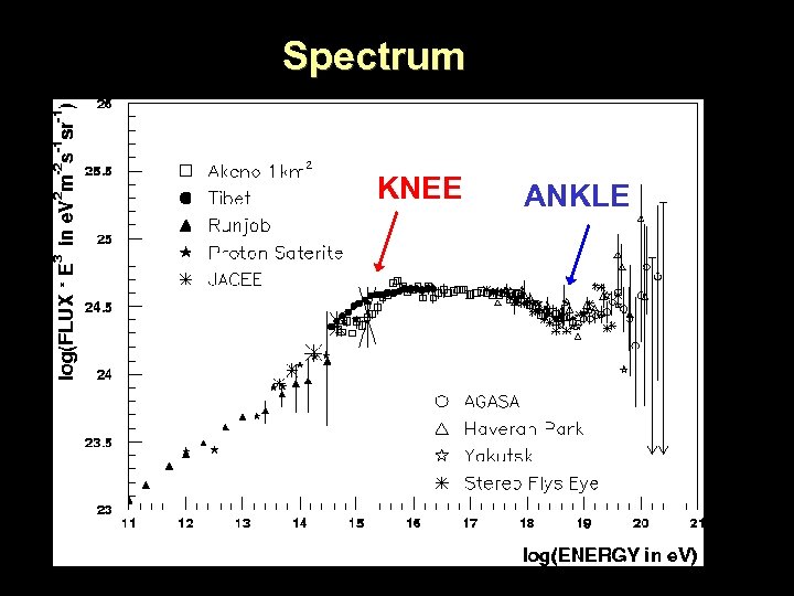 Spectrum KNEE ANKLE 