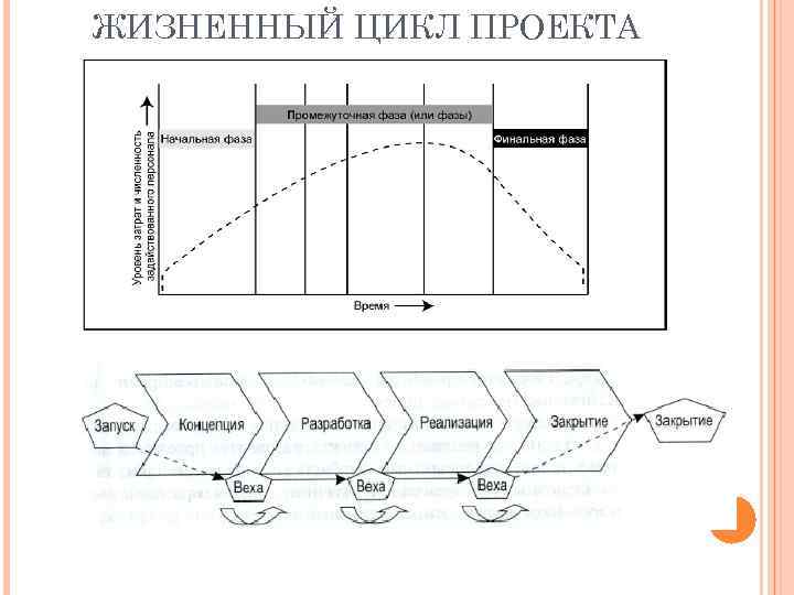 ЖИЗНЕННЫЙ ЦИКЛ ПРОЕКТА 