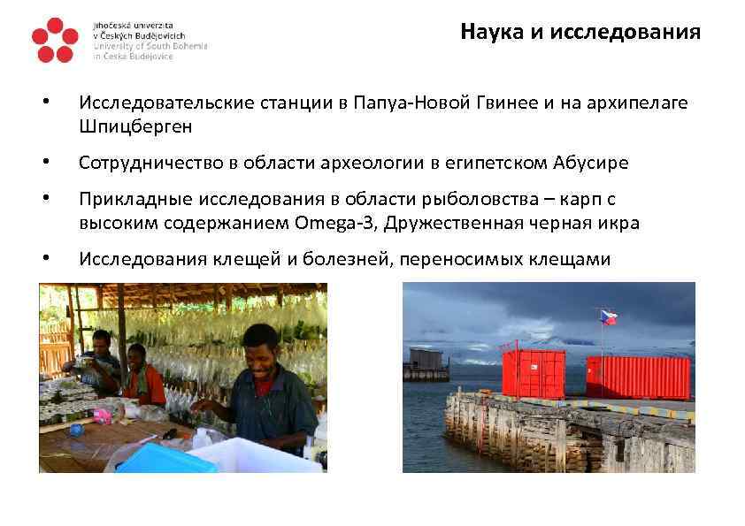 Наука и исследования • Исследовательские станции в Папуа-Новой Гвинее и на архипелаге Шпицберген •