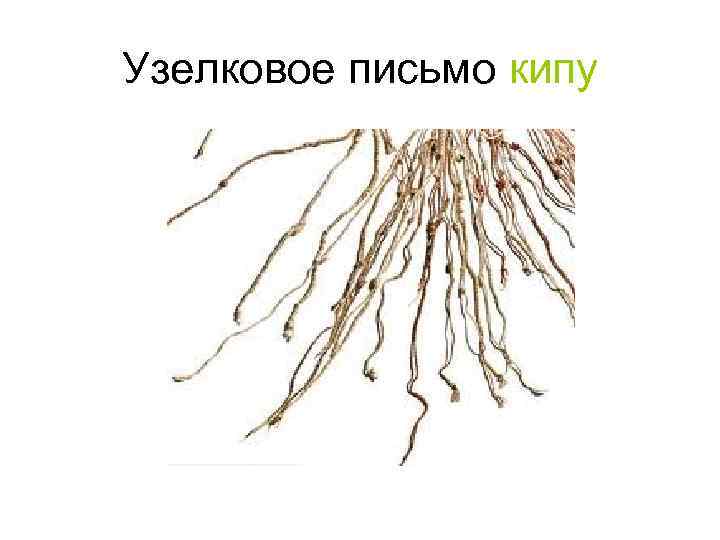 Узелковое письмо кипу 