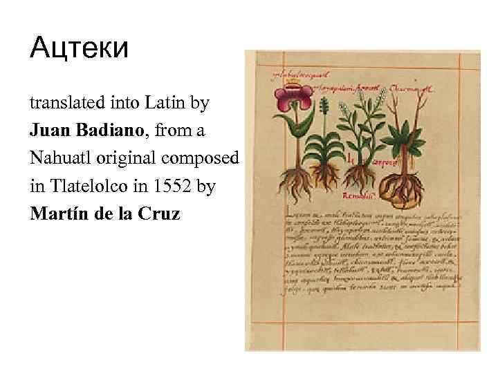 Ацтеки translated into Latin by Juan Badiano, from a Nahuatl original composed in Tlatelolco