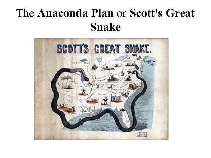 The Anaconda Plan or Scott's Great Snake 