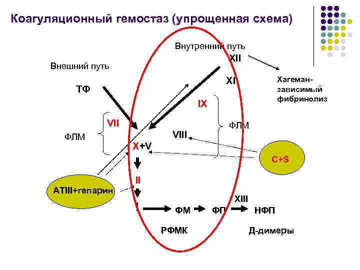 Коагуляционный гемостаз (упрощенная схема) Внутренний путь XII Внешний путь Хагеманзависимый фибринолиз XI ТФ IX