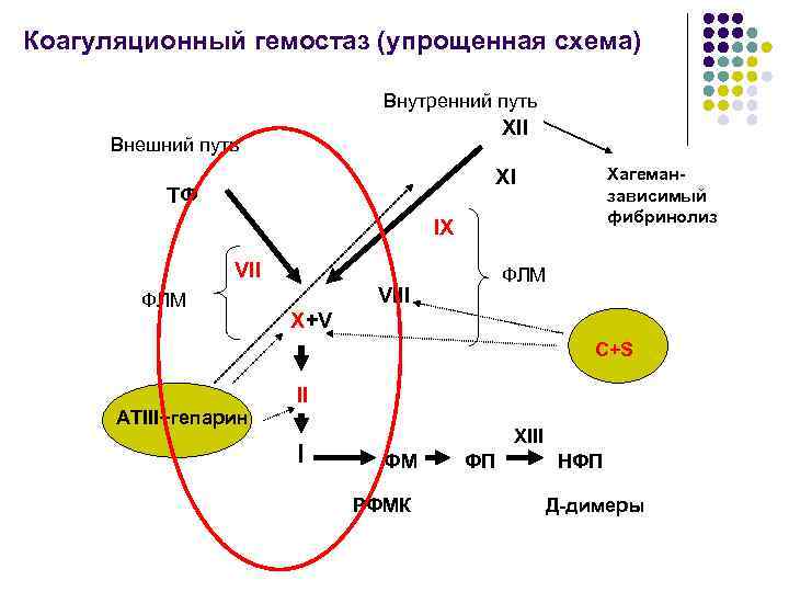 Коагуляционный гемостаз (упрощенная схема) Внутренний путь XII Внешний путь Хагеманзависимый фибринолиз XI ТФ IX