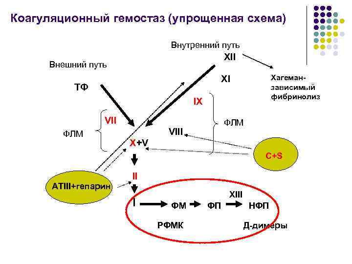 Коагуляционный гемостаз (упрощенная схема) Внутренний путь XII Внешний путь Хагеманзависимый фибринолиз XI ТФ IX