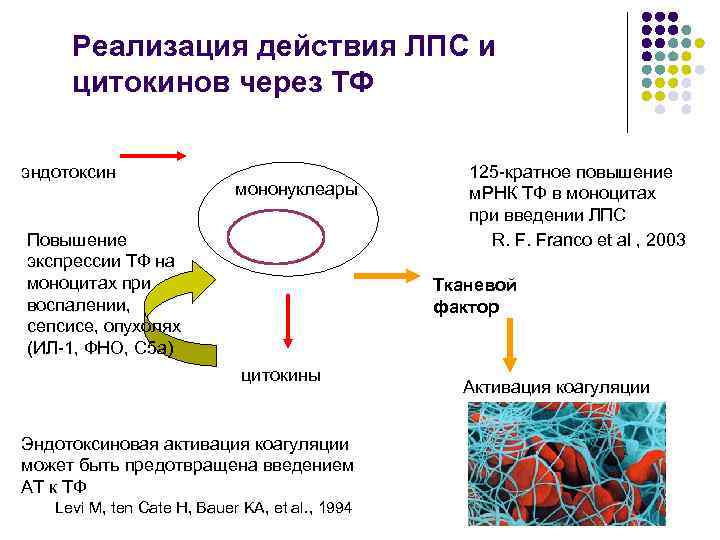 Реализация действия ЛПС и цитокинов через ТФ эндотоксин мононуклеары Повышение экспрессии ТФ на моноцитах