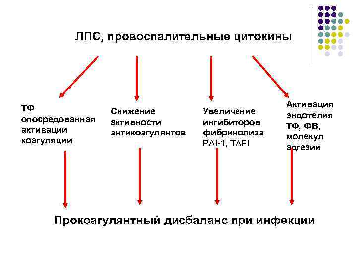 ЛПС, провоспалительные цитокины ТФ опосредованная активации коагуляции Снижение активности антикоагулянтов Увеличение ингибиторов фибринолиза PAI-1,