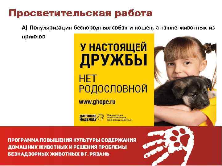 Просветительская работа А) Популяризация беспородных собак и кошек, а также животных из приютов 