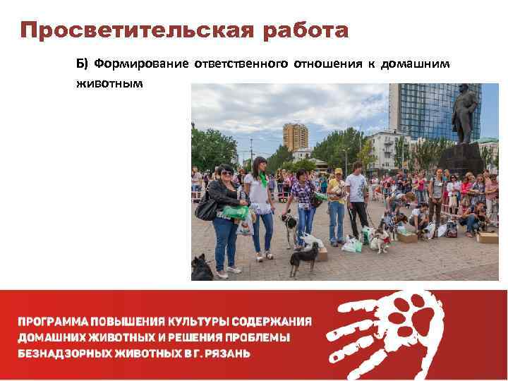 Просветительская работа Б) Формирование ответственного отношения к домашним животным 