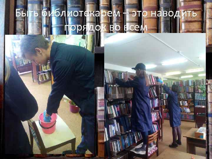 Быть библиотекарем – это наводить порядок во всем 