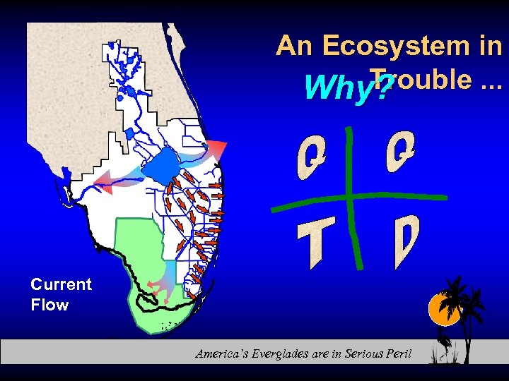 An Ecosystem in Trouble. . . Why? Current Flow America’s Everglades are in Serious