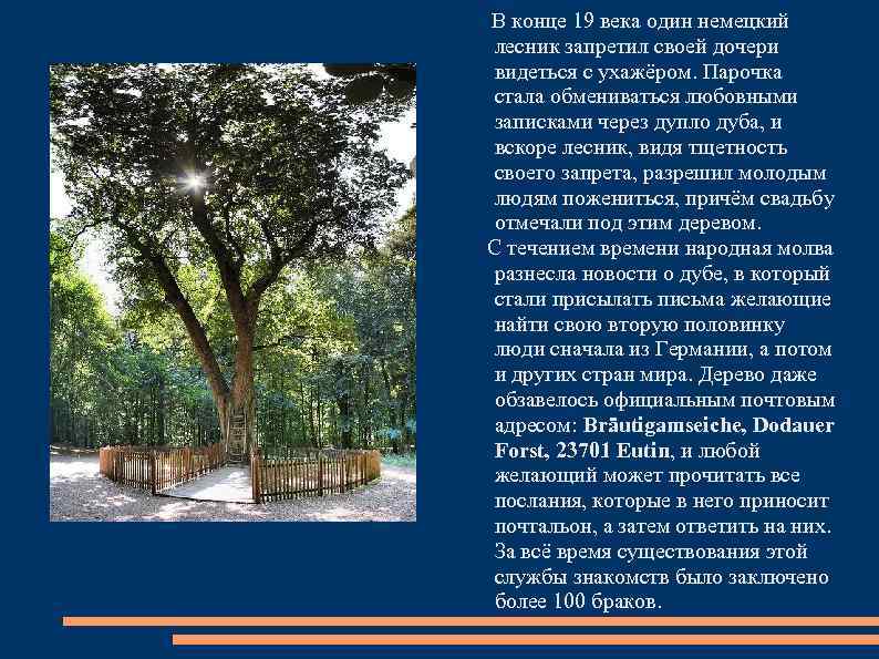 В конце 19 века один немецкий лесник запретил своей дочери видеться с ухажёром. Парочка