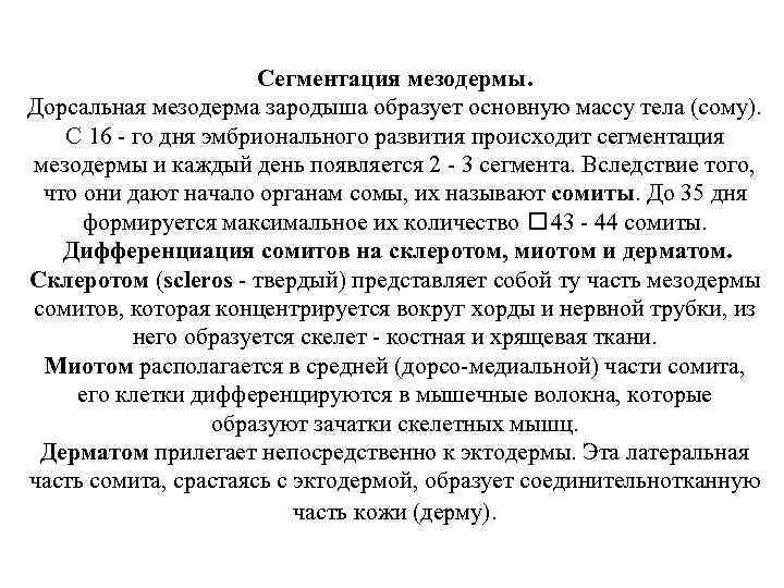 Сегментация мезодермы. Дорсальная мезодерма зародыша образует основную массу тела (сому). С 16 - го
