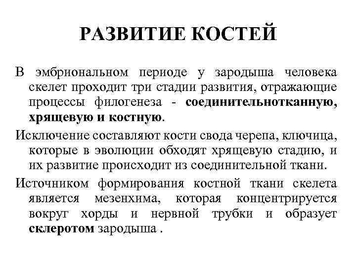 РАЗВИТИЕ КОСТЕЙ В эмбриональном периоде у зародыша человека скелет проходит три стадии развития, отражающие