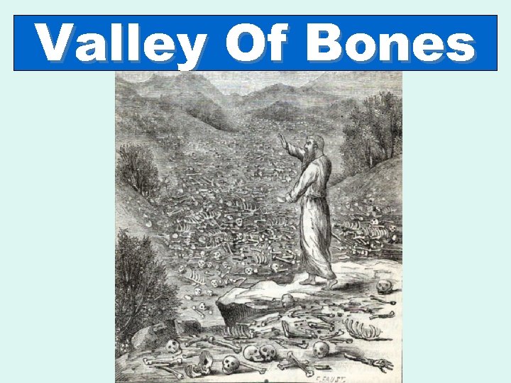 Valley Of Bones 