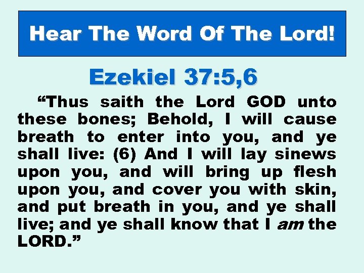 Hear The Word Of The Lord! Ezekiel 37: 5, 6 “Thus saith the Lord