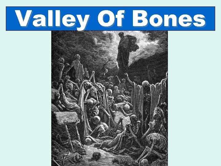 Valley Of Bones 