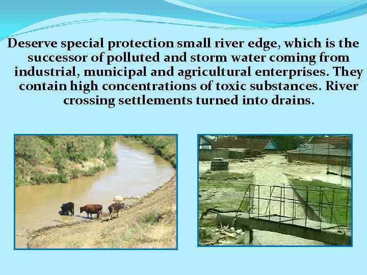 Deserve special protection small river edge, which is the successor of polluted and storm