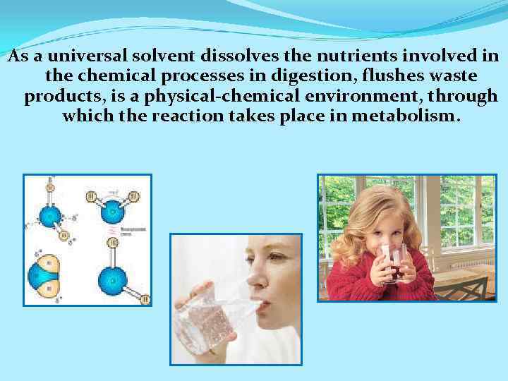As a universal solvent dissolves the nutrients involved in the chemical processes in digestion,