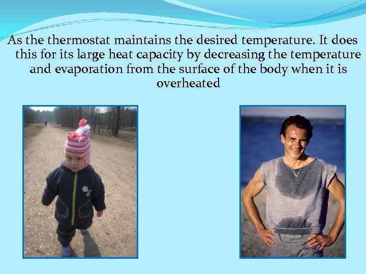 As thermostat maintains the desired temperature. It does this for its large heat capacity