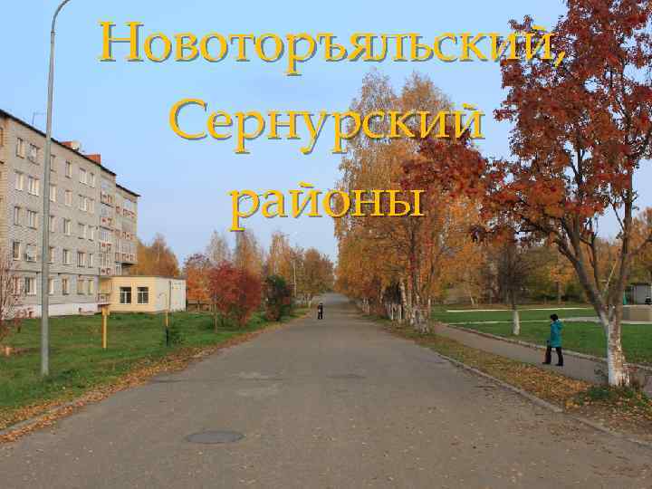 Новоторъяльский, Сернурский районы 