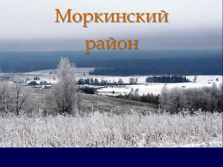 Моркинский район 