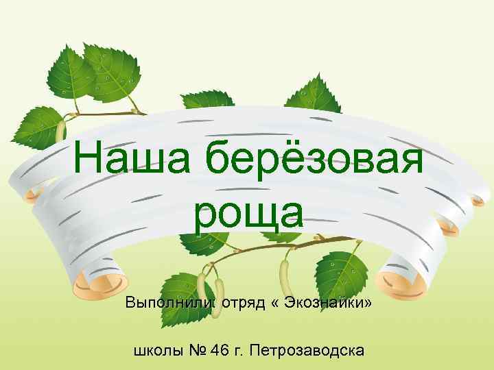 Наша берёзовая роща Выполнили: отряд « Экознайки» школы № 46 г. Петрозаводска 