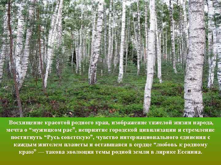 Восхищение красотой родного края, изображение тяжелой жизни народа, мечта о “мужицком рае”, неприятие городской