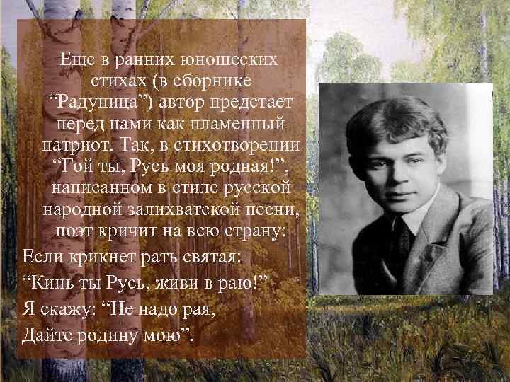 Гой ты русь моя родная размер стихотворения. «Гой ты, Русь, моя родная...» (1914). Стихотворение Есенина о родине.