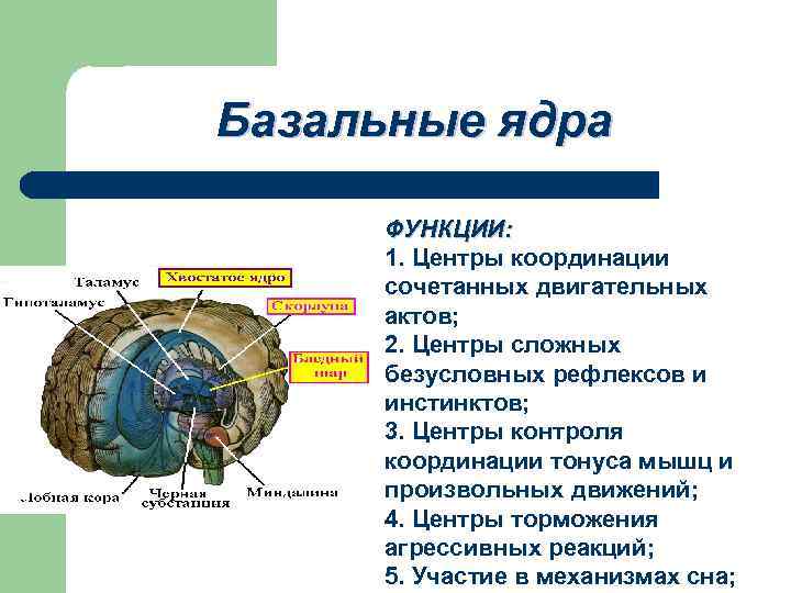 Формирование ядра