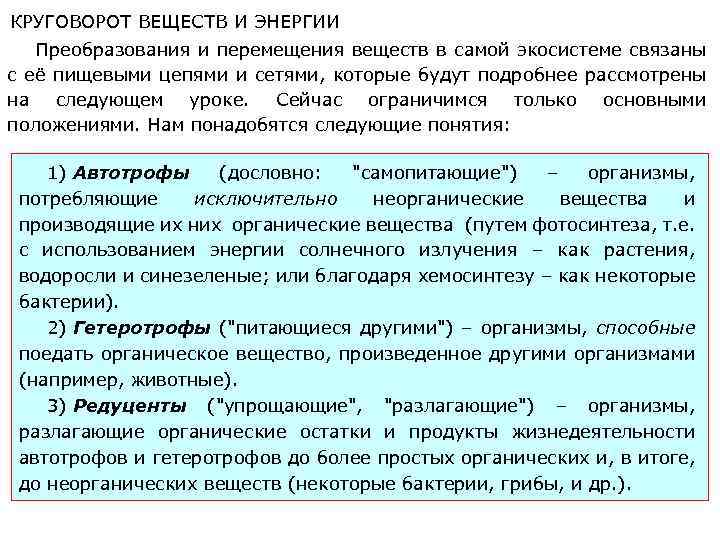 Факторы появления автотрофов