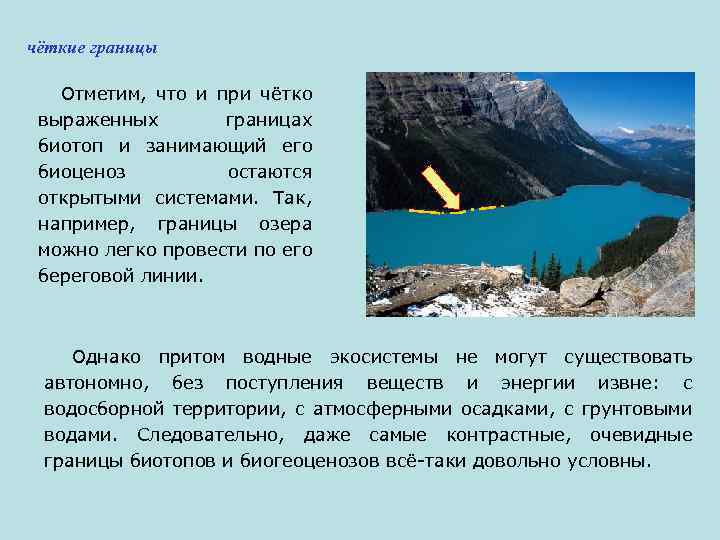 чёткие границы Отметим, что и при чётко выраженных границах биотоп и занимающий его биоценоз