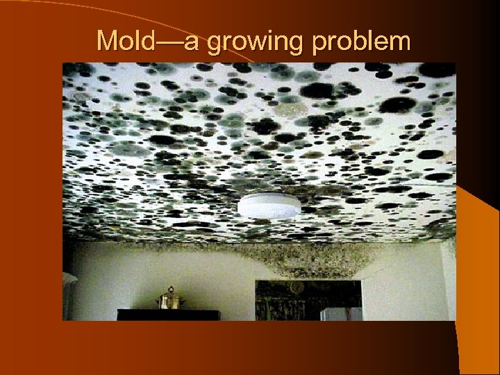 Mold—a growing problem 