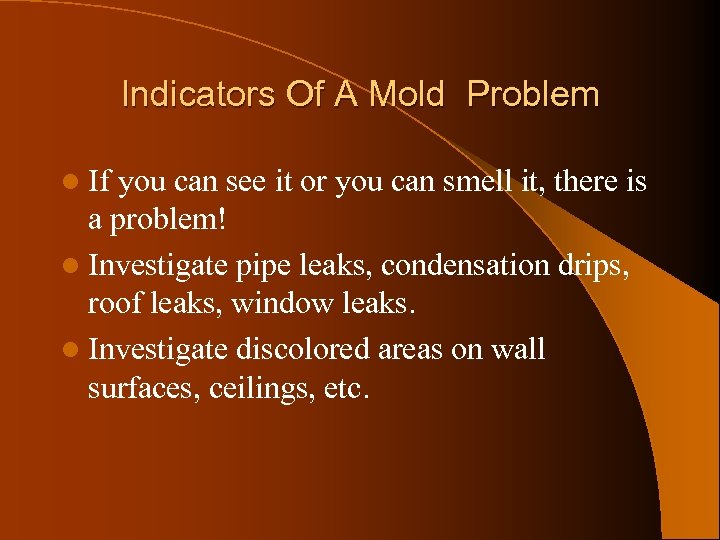 Indicators Of A Mold Problem l If you can see it or you can