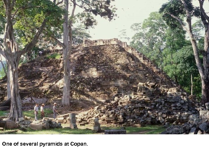 One of several pyramids at Copan. 