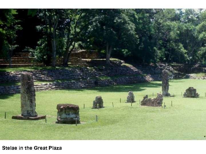 Stelae in the Great Plaza 