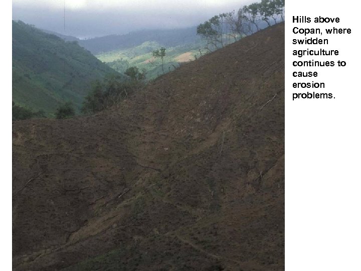 Hills above Copan, where swidden agriculture continues to cause erosion problems. 