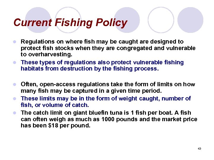 Current Fishing Policy Regulations on where fish may be caught are designed to protect