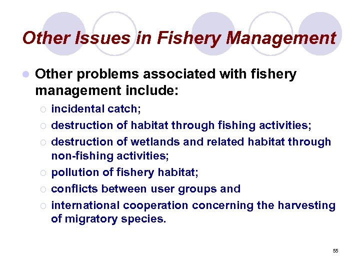 Other Issues in Fishery Management l Other problems associated with fishery management include: ¡
