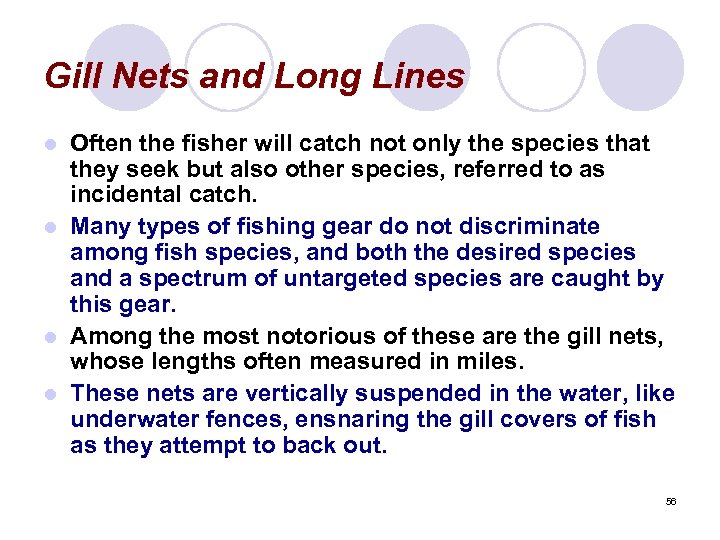 Gill Nets and Long Lines Often the fisher will catch not only the species