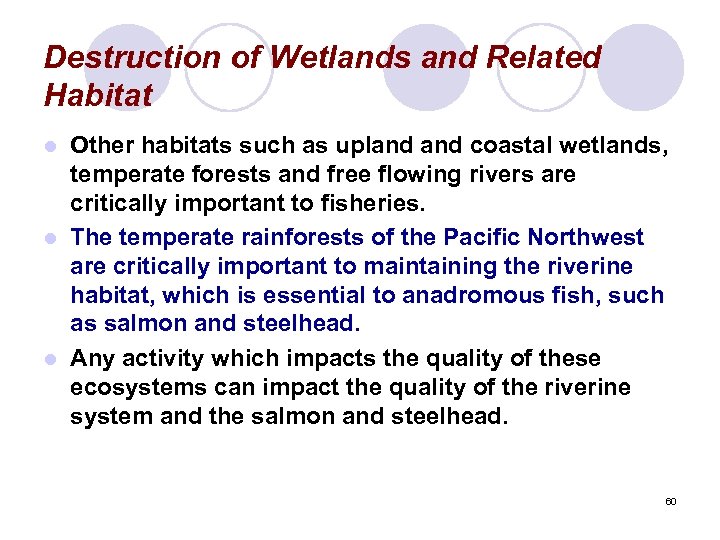Destruction of Wetlands and Related Habitat Other habitats such as upland coastal wetlands, temperate