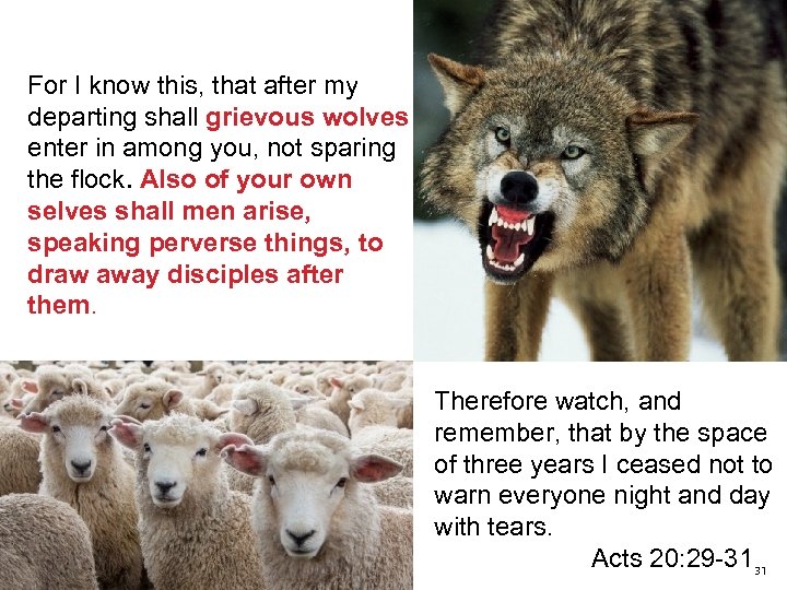 For I know this, that after my departing shall grievous wolves enter in among