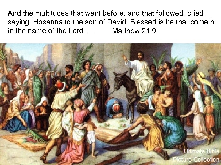And the multitudes that went before, and that followed, cried, saying, Hosanna to the